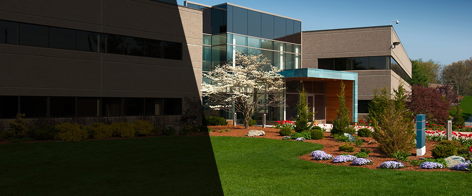 Winchester Landscapers