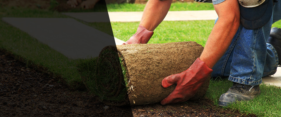 Winchester Landscapers